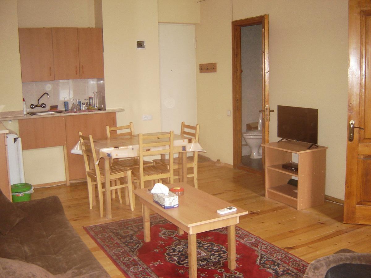 Old Metekhi Apartment 第比利斯 外观 照片